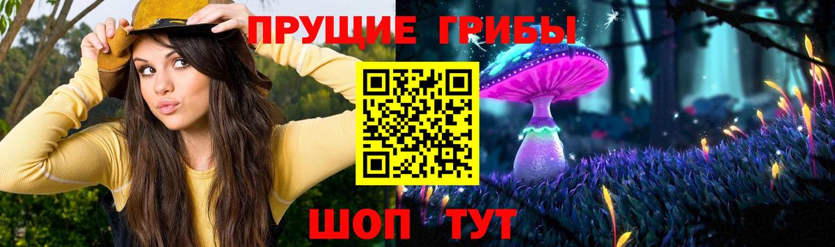 Псилоцибиновые грибы Magic Shrooms Мирный